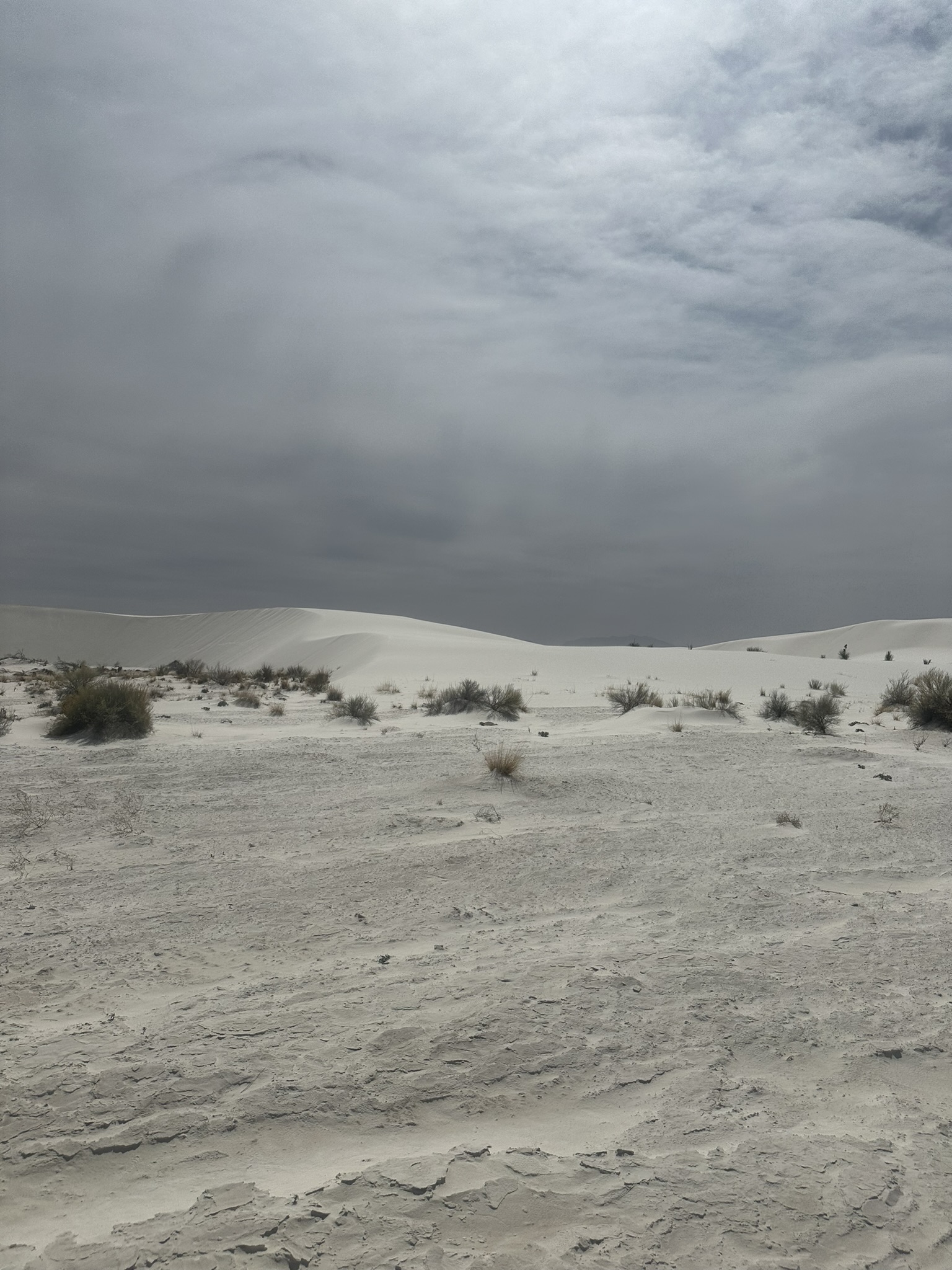 United States-National Parks-Other - Image 1253